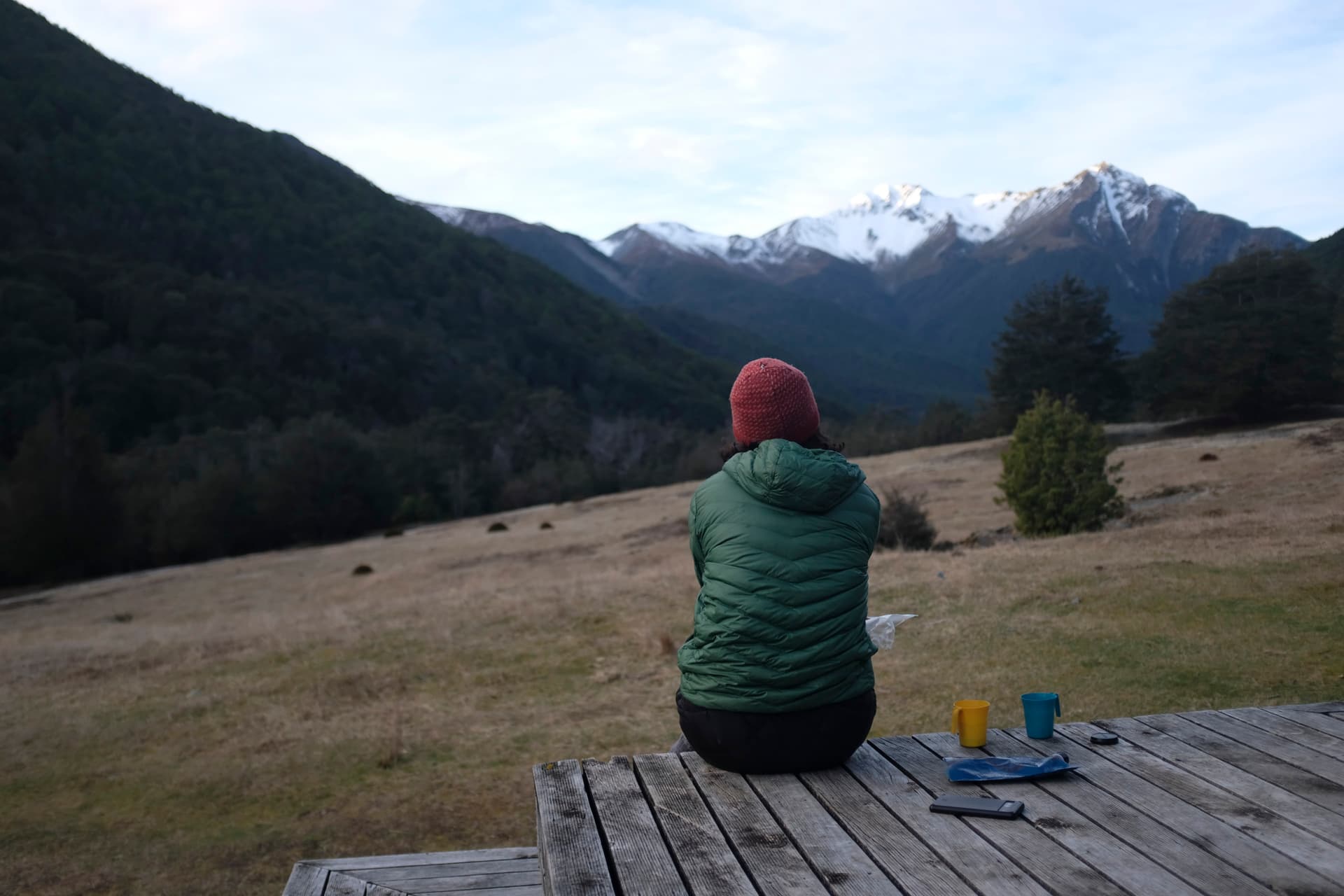 Ruby at the Greenstone Hut